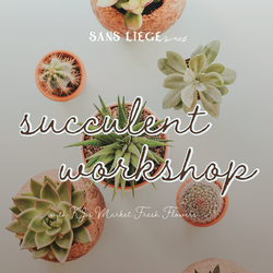 Succulent Workshop